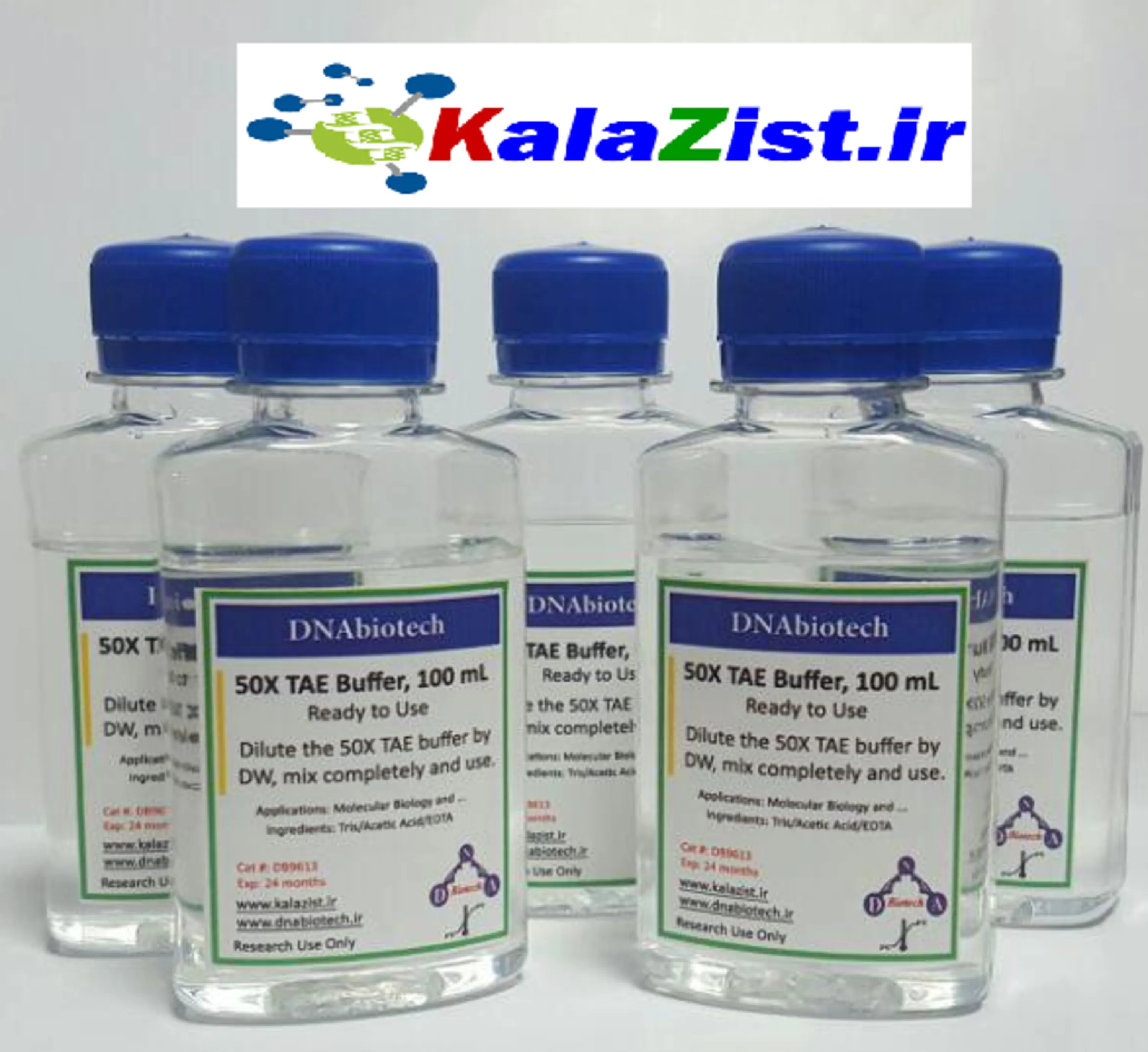 بافر TAE حجم  100 سی سی 50X کالا زیست